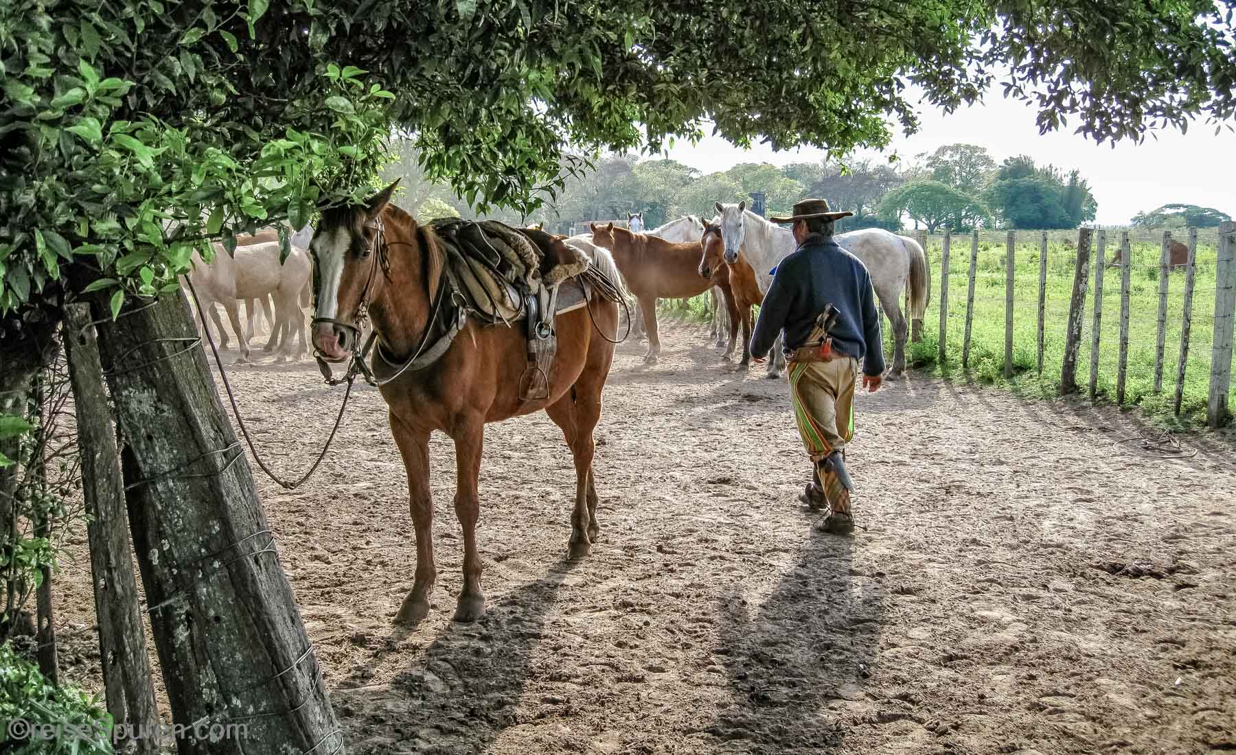 Argentinien