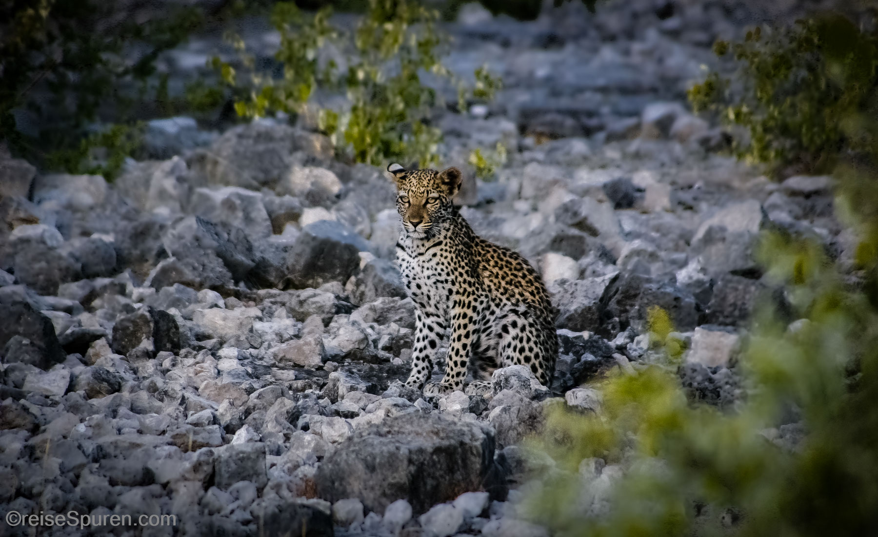 Namibia