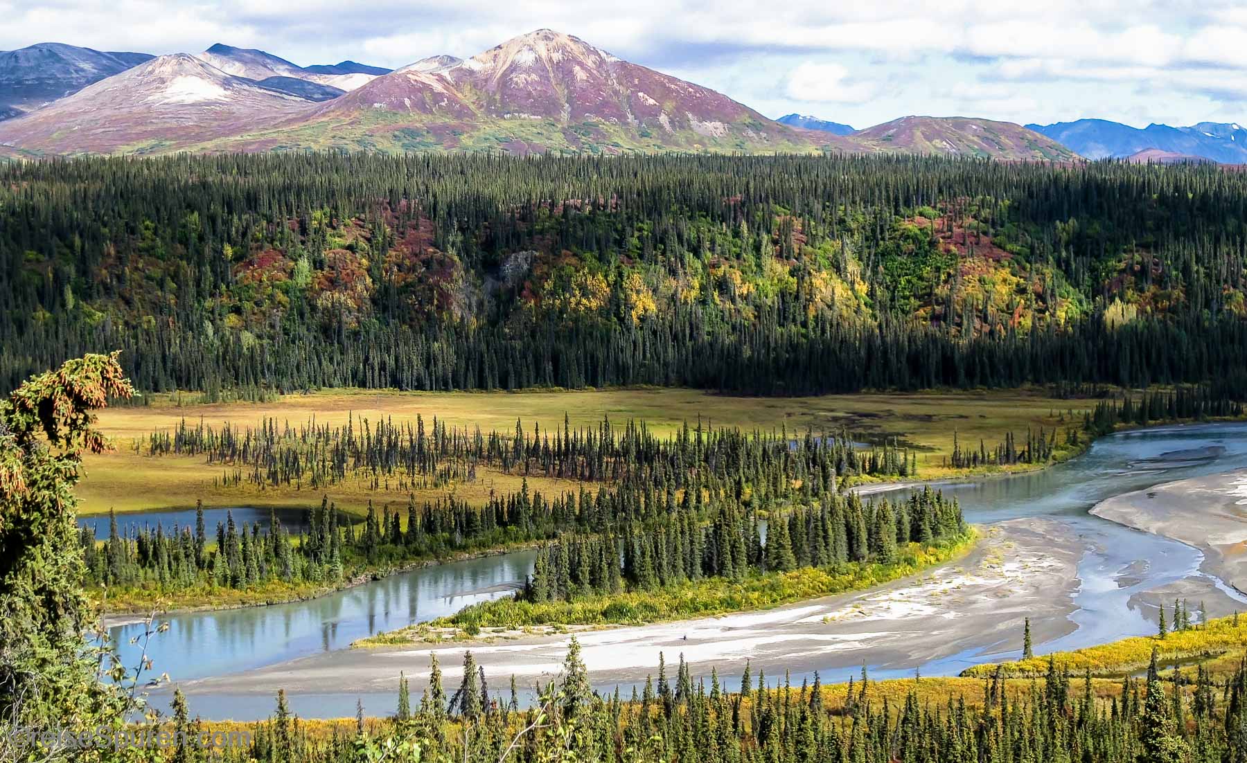 Blick auf die Alaska Range