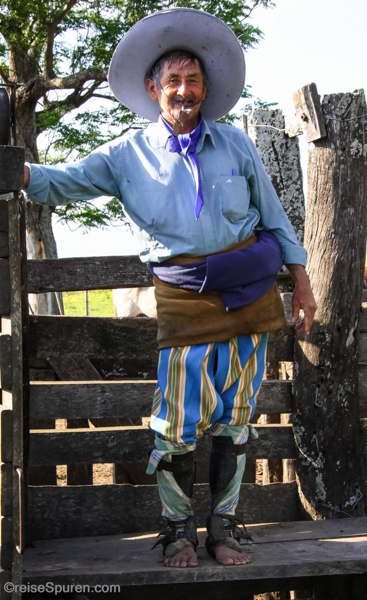 Gaucho