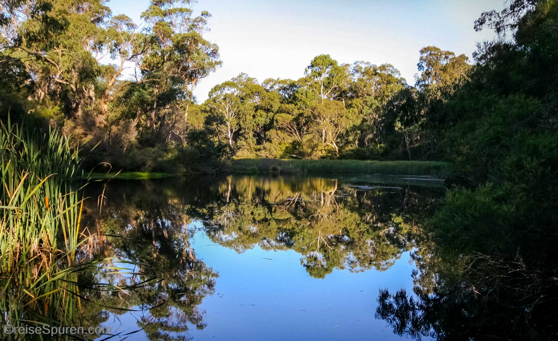 Dunns Swamp
