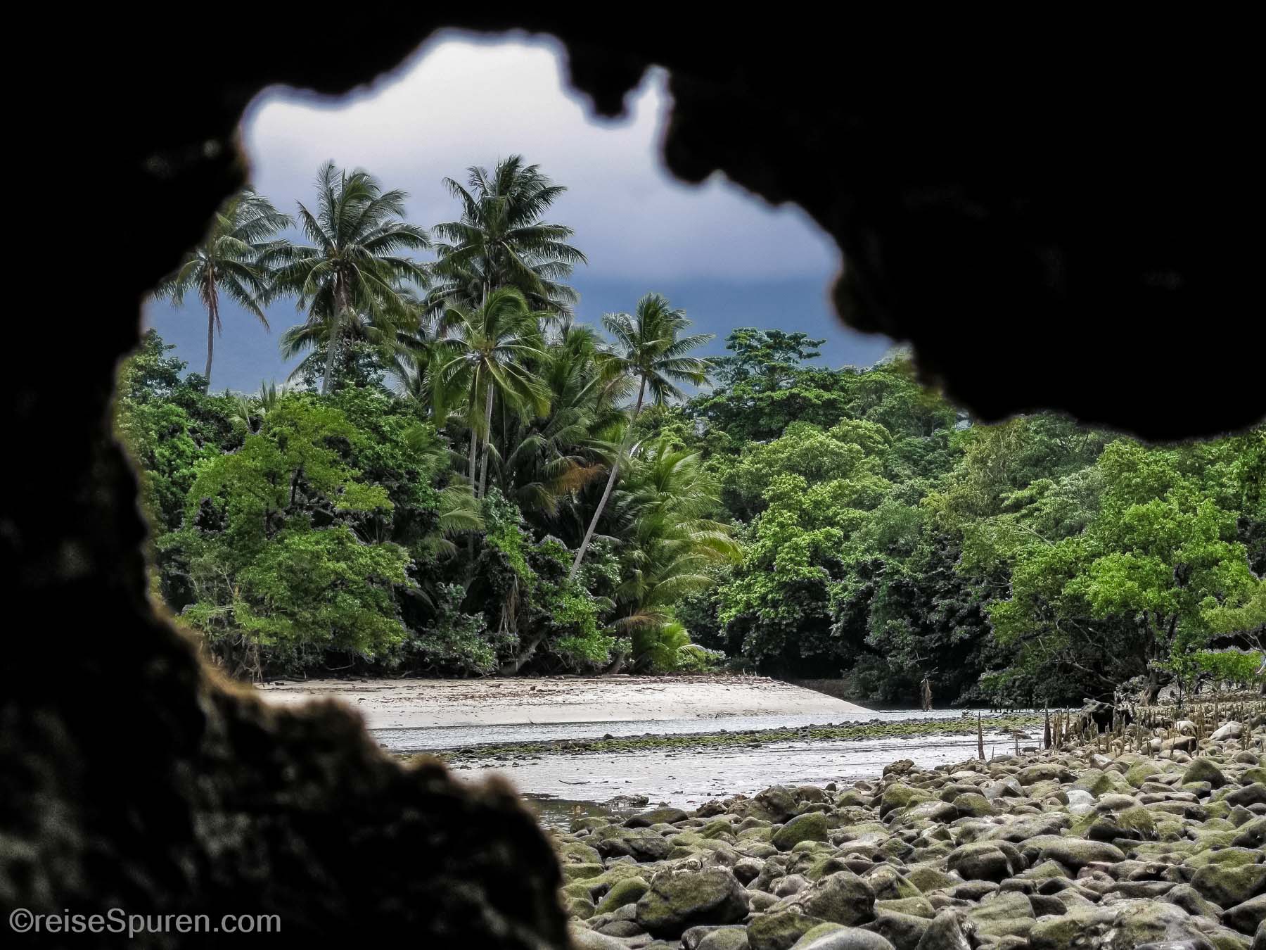 Cape Tribulation NP