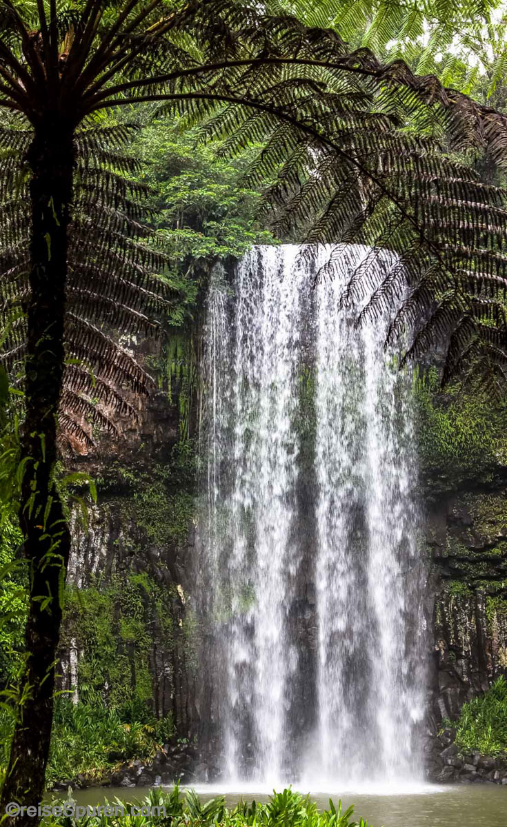 Millaa Millaa Falls