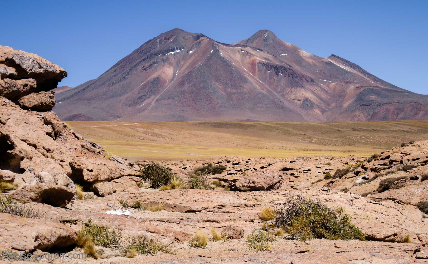 Puna de Atacama