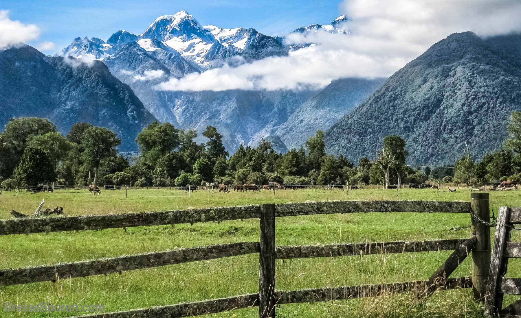 Mount Cook -  Mount Tasman