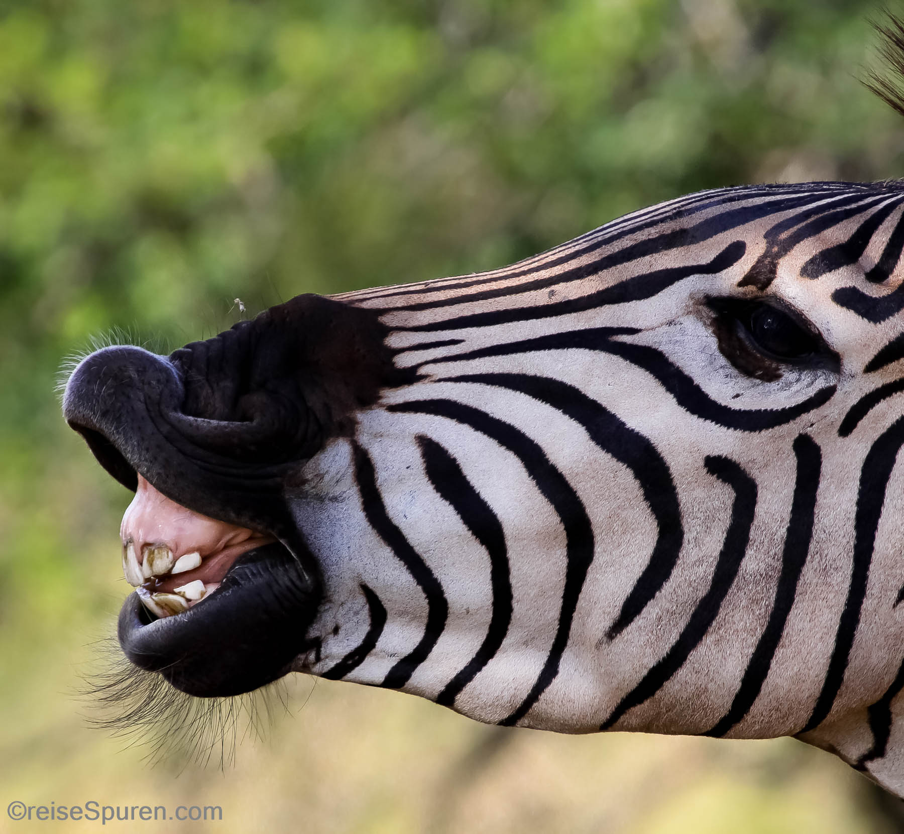 Keep smiling